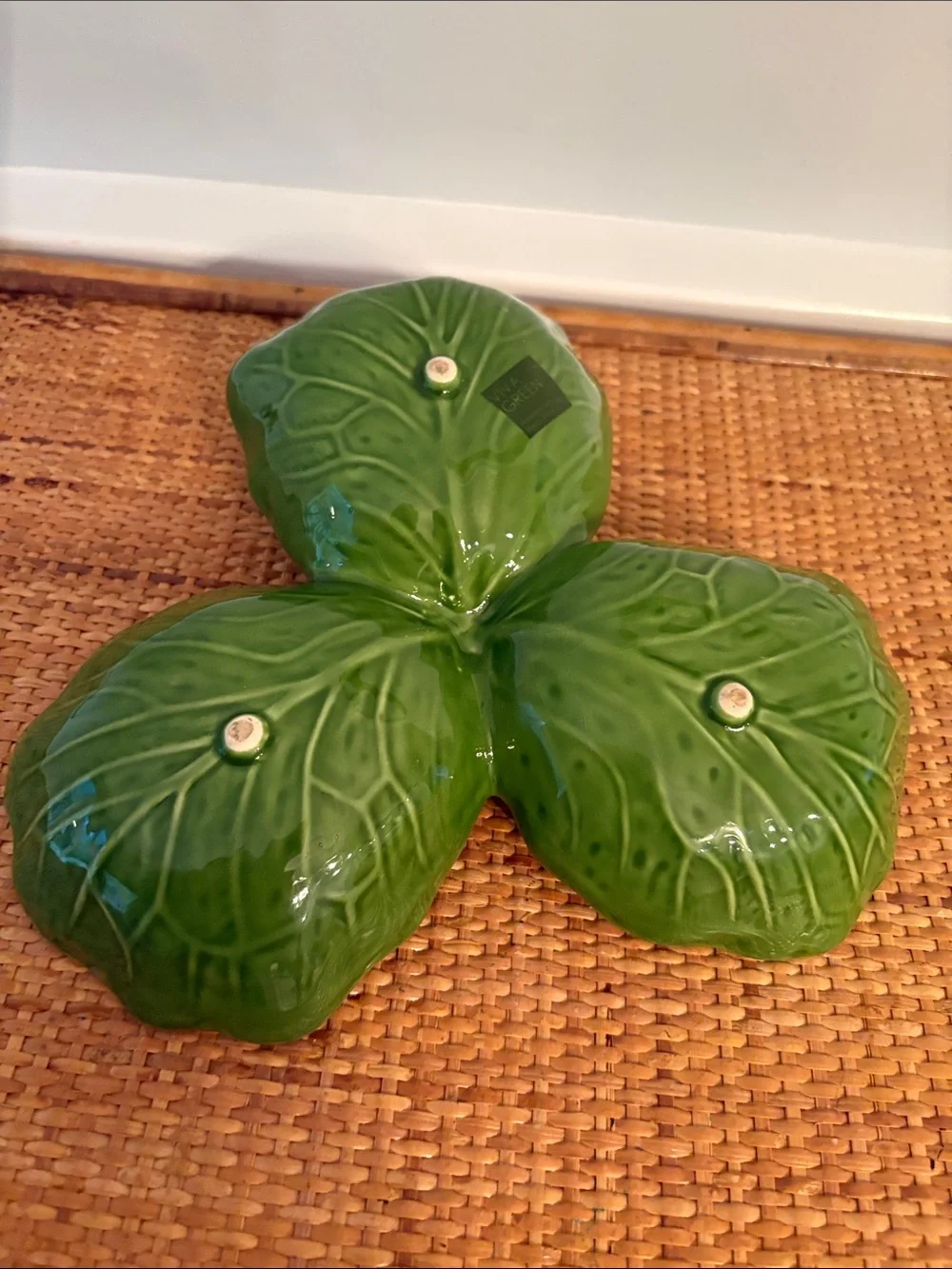 Viva green stylish cabbage